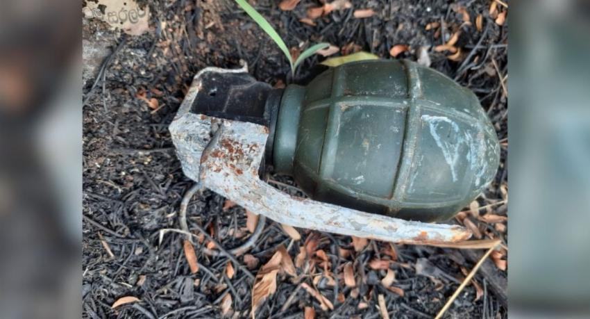 STF seizes explosives in the Victoria reserve